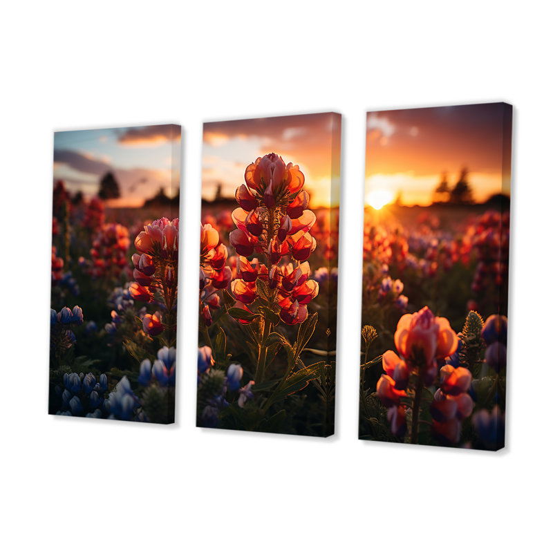 «Red Bonnets Field with Orange Sunset - Blue Bonnets», ensemble d'art mural, H 28 po x l 36 po x P 1 po, Toile tendue