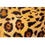Ardmore Velvet Bolster Pillow-13352562