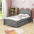 Twin Size Wood Platform Bed with Two Drawers-240155815
