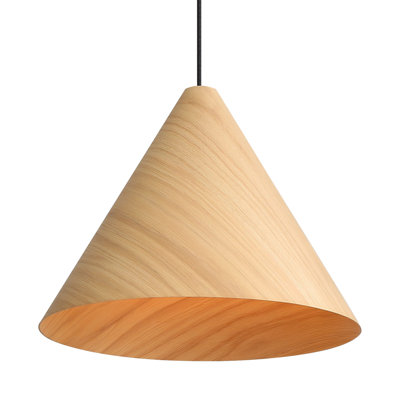Dimmable 2-Light Pendant