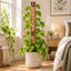 23.03 in. H x 1.65 in. W Trellis