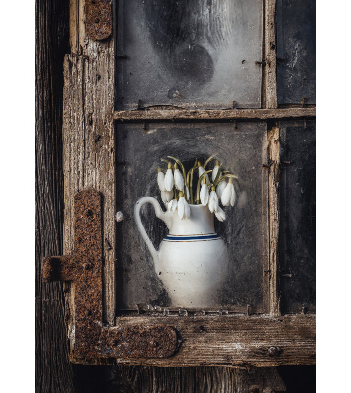 Wrapped Canvas Print, 76.2cm H x 50.8cm W