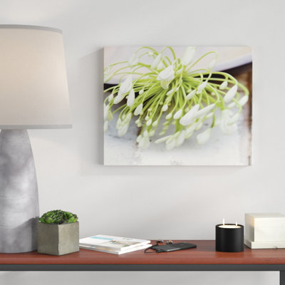 Ian Winstanley - Wrapped Canvas Print