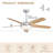 52" Modern Ceiling Fan with Lights and Remote, Chrome Ceiling Fan with Reversible Blades-2139063030-2139063031