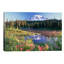 Mt Rainier and Wildflowers at Reflection Lake, Mt Rainier National Park, Washington 1 Piece Wrapped Canvas Painting-1333257562