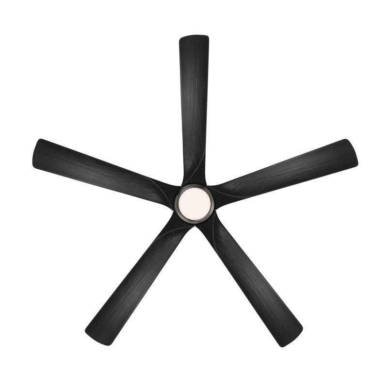 Seressa 56" 5CCT LED Smart Ceiling Fan, Coal, Gray