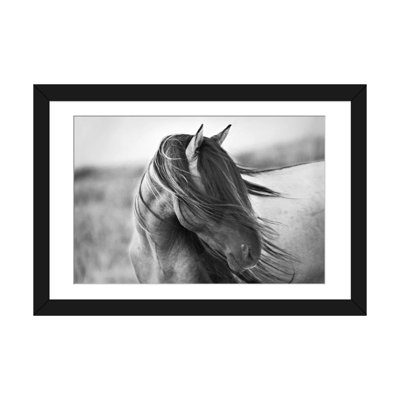 " Fierce Grace " by Tony Stromberg