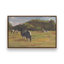 «Resting Cows I» par Stephen Calcasola, reproduction d'art sur toile-1796177794-1796177806-1796177016