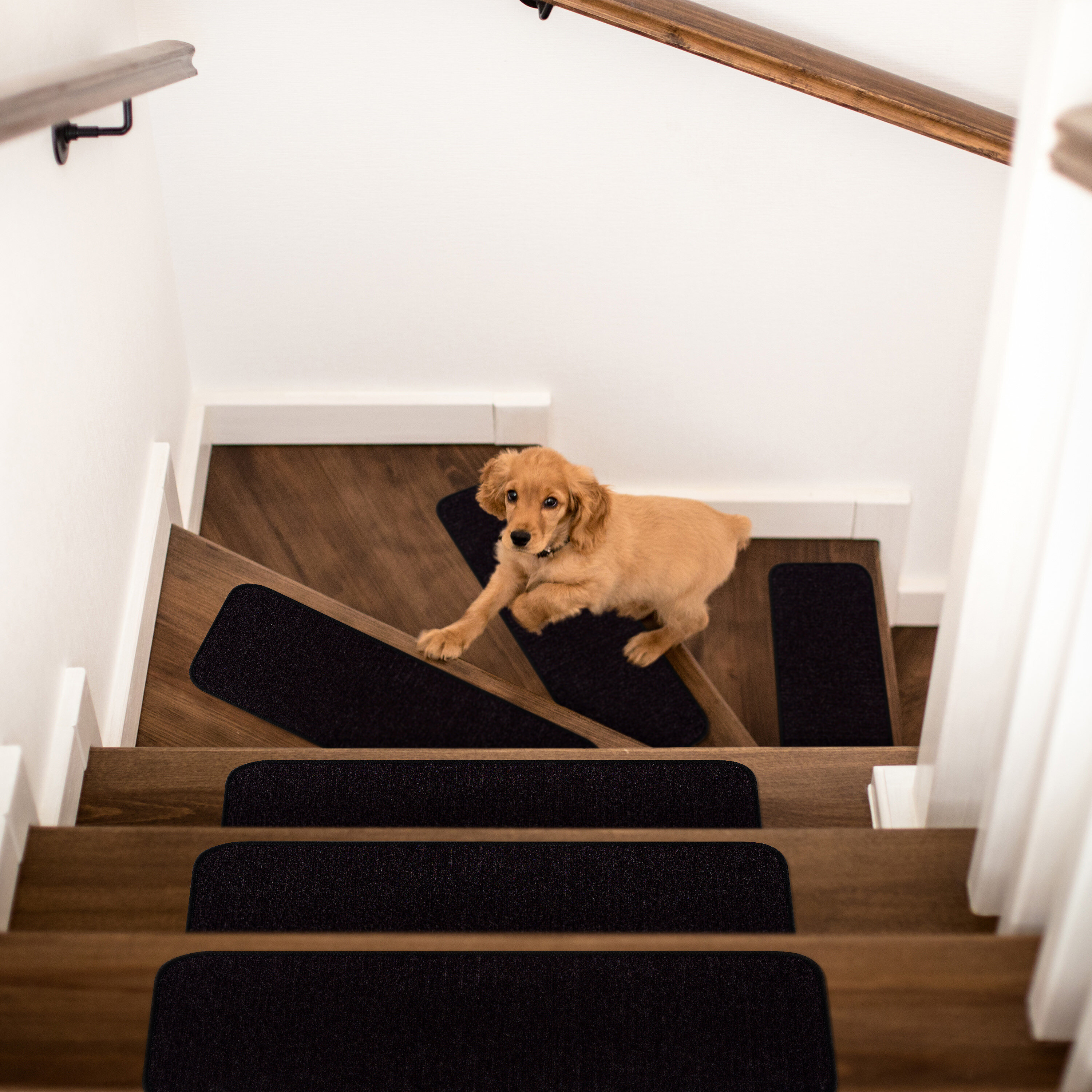 Ebern Designs Absalat Non-Slip Stair Tread & Reviews | Wayfair