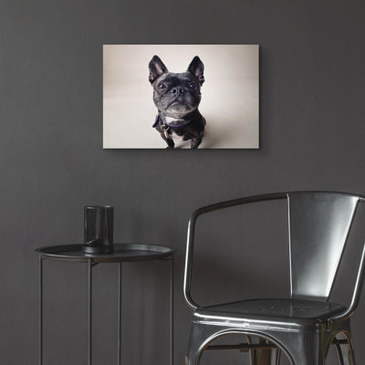 " Bailey " by Susan Sabo