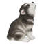 Chiot Malamute d'Alaska