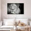 Portrait de lion-1307633387-1307633390