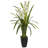 Orchids Arrangement in Planter-179369216