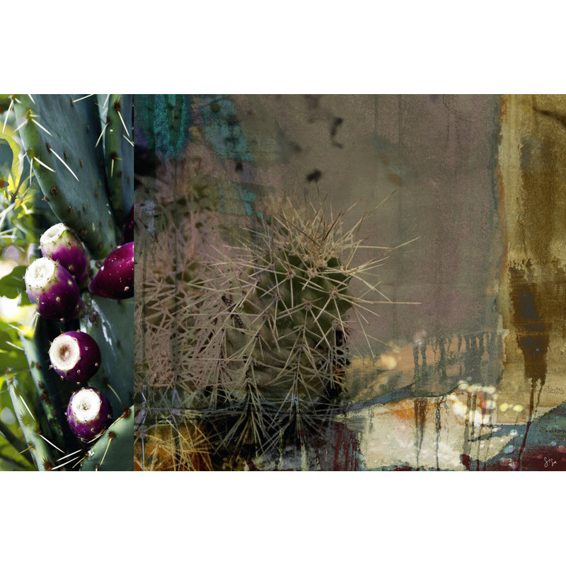 Texas Cactus Collage by Sisa Jasper - Wrapped Canvas Art Prints, 30cm H x 46cm W