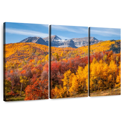 Alvord Park City en automne
