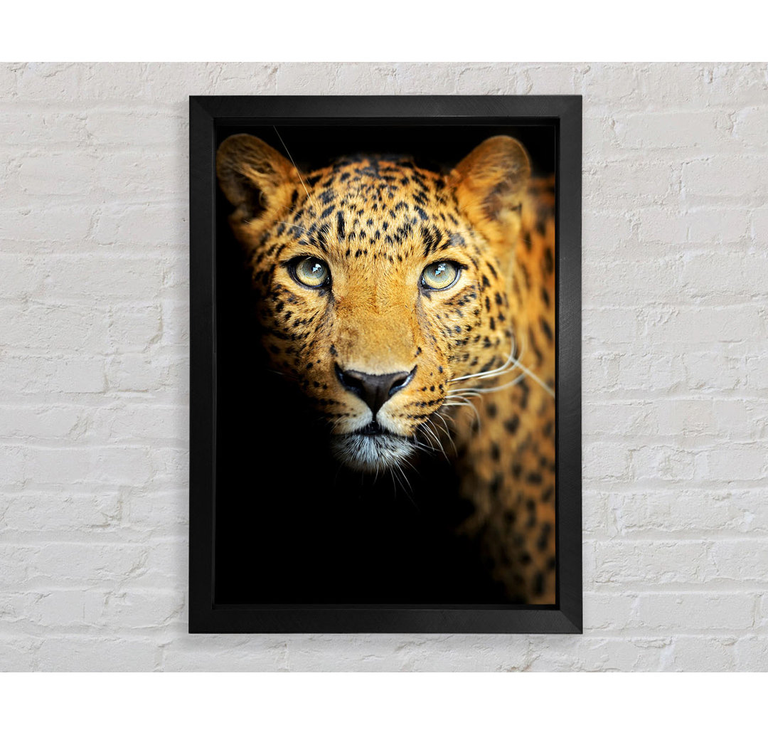 Leopard Beauty - Einzelner Bilderrahmen Kunstdrucke