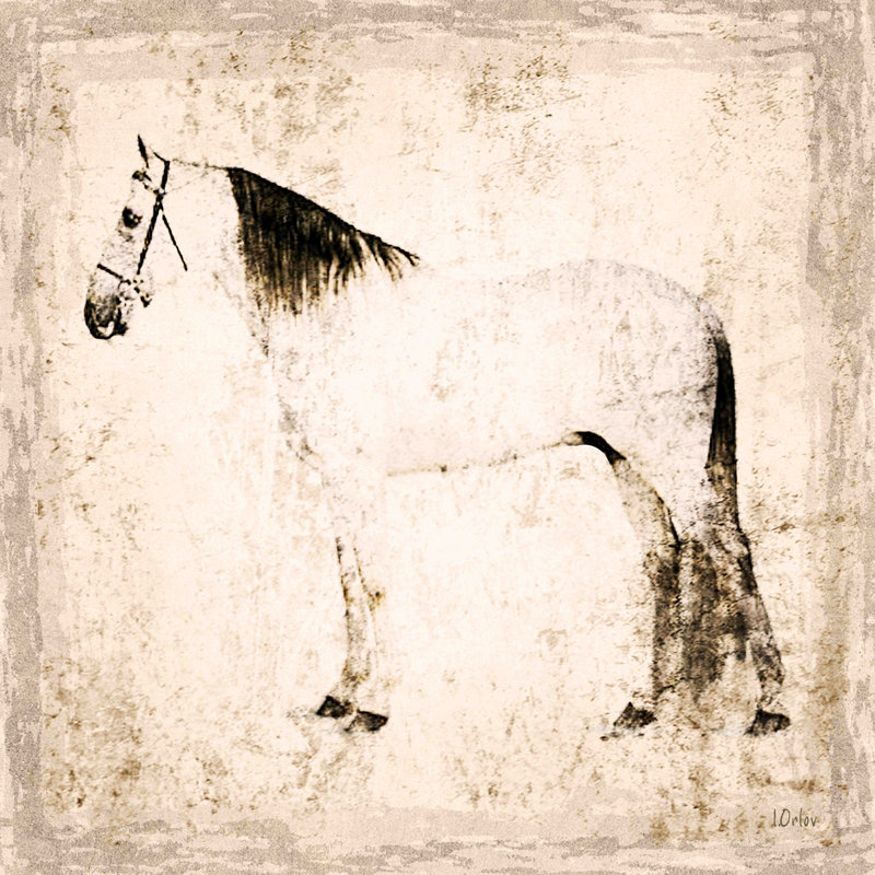 White Horse Canvas Print with Sustainable Wood Frame