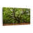 Nature 3 - Pieces-98864843