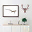 Lesser Spotted Dog-fish by Edward Donovan - Picture Frame Painting Print on MDF-55582649-55582652