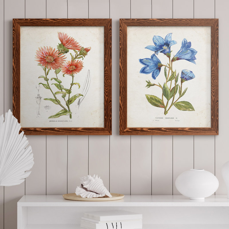 «Botanical I», ensemble de 2 reproductions d'art, Pas de tapis, Toile avec cadre érable, H 20 po x l 17 po x P 1 po