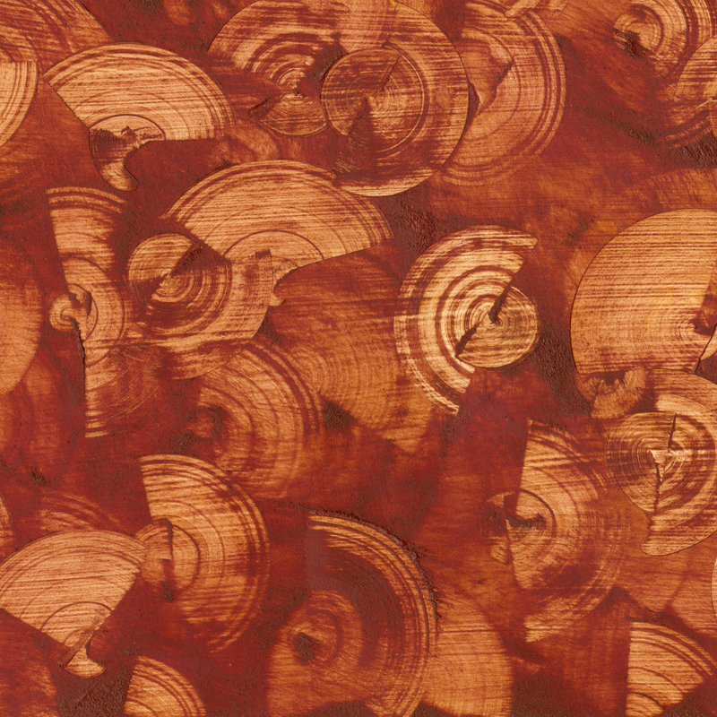Nautilus In Rust I by Sharon Gordon - Wrapped Canvas Print, 122cm H x 122cm W