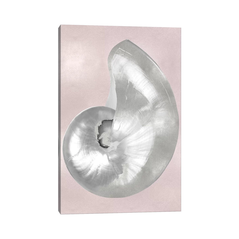 Silver Shell On Pink Blush I by Caroline Kelly - Wrapped Canvas Print, 101.6 cm H x 66.04 cm W x 1.91 cm D