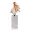 Figurine Oakden Coastal Seashell Sculpture-2049609556
