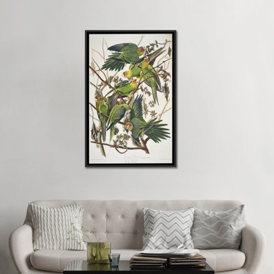 «Carolina Parrot & Cuckle Burr», impression sur toile