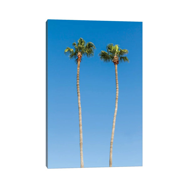 Bay Isle Home Palm Trees by Melanie Viola - Wrapped Canvas Photograph ...
