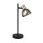 Fahrija Metal Desk Lamp