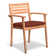 Sylvan Outdoor 9 - Piece Teak Dining Set with Cushions