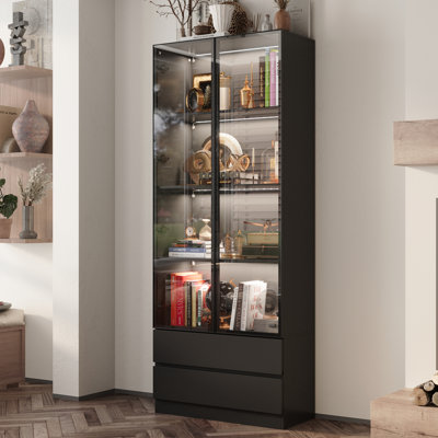 Display Cabinet With Adjustable Lights And Tempered Glass Door by Wrought Studio