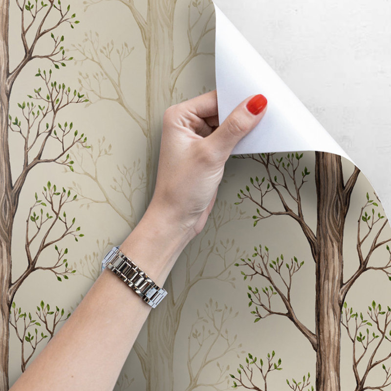 Carson-Gray 2.5m x 2.5m Matte Mural, 360 x 250cm