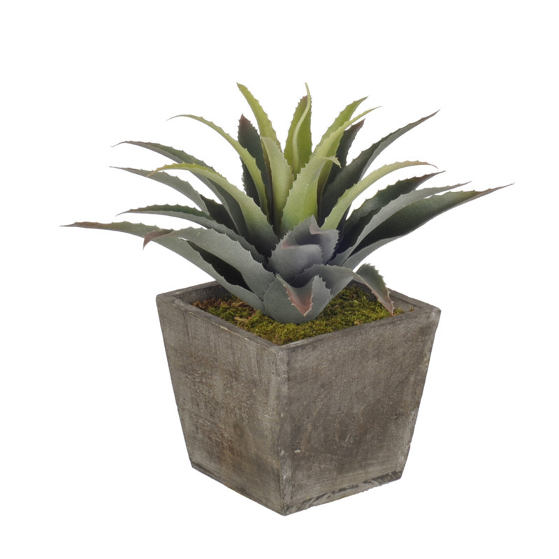 Plante grasse artificielle artificielle en pot