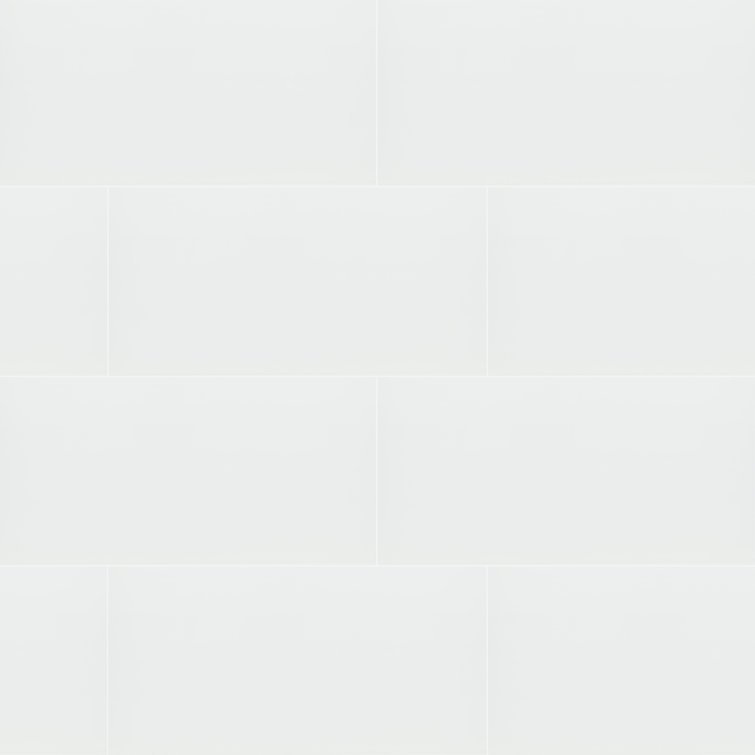 Dymo 12" X 24" Glossy Ceramic Wall Tile