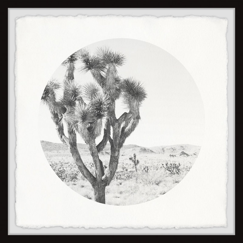 " Desert Cacti " by Marmont Hill, 32" H x 32" W x 1.5" D