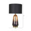 Alayza Glass Table Lamp