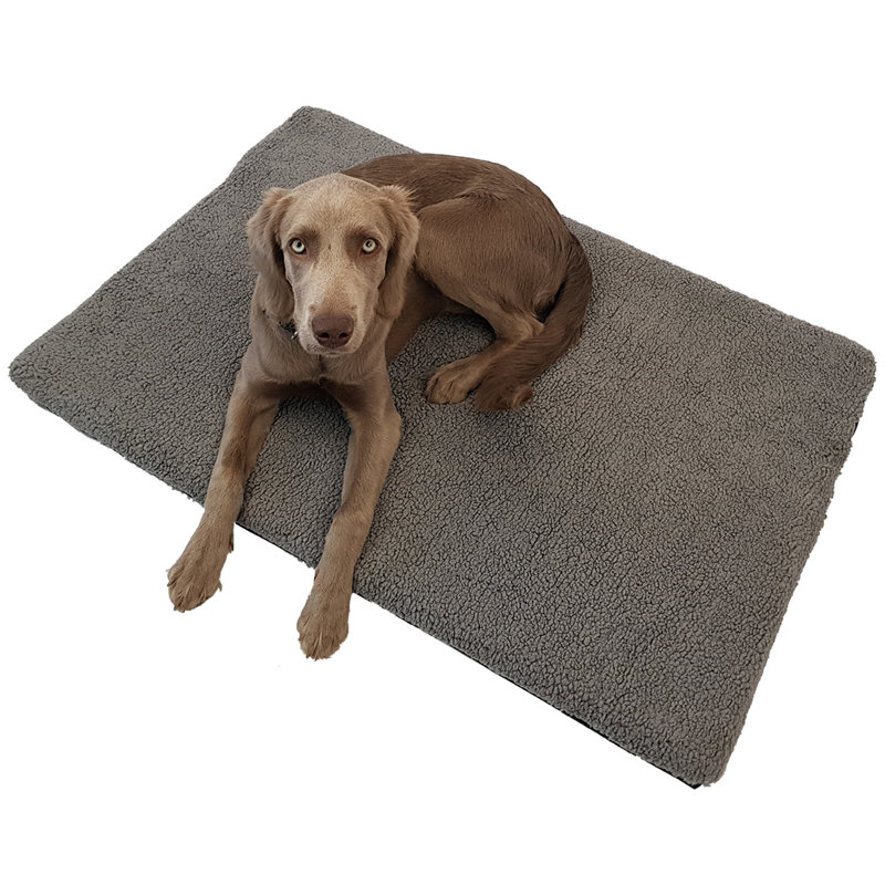 Burt Orthopedic Polyester Pet Bed, Large (80cm W x 55cm D)