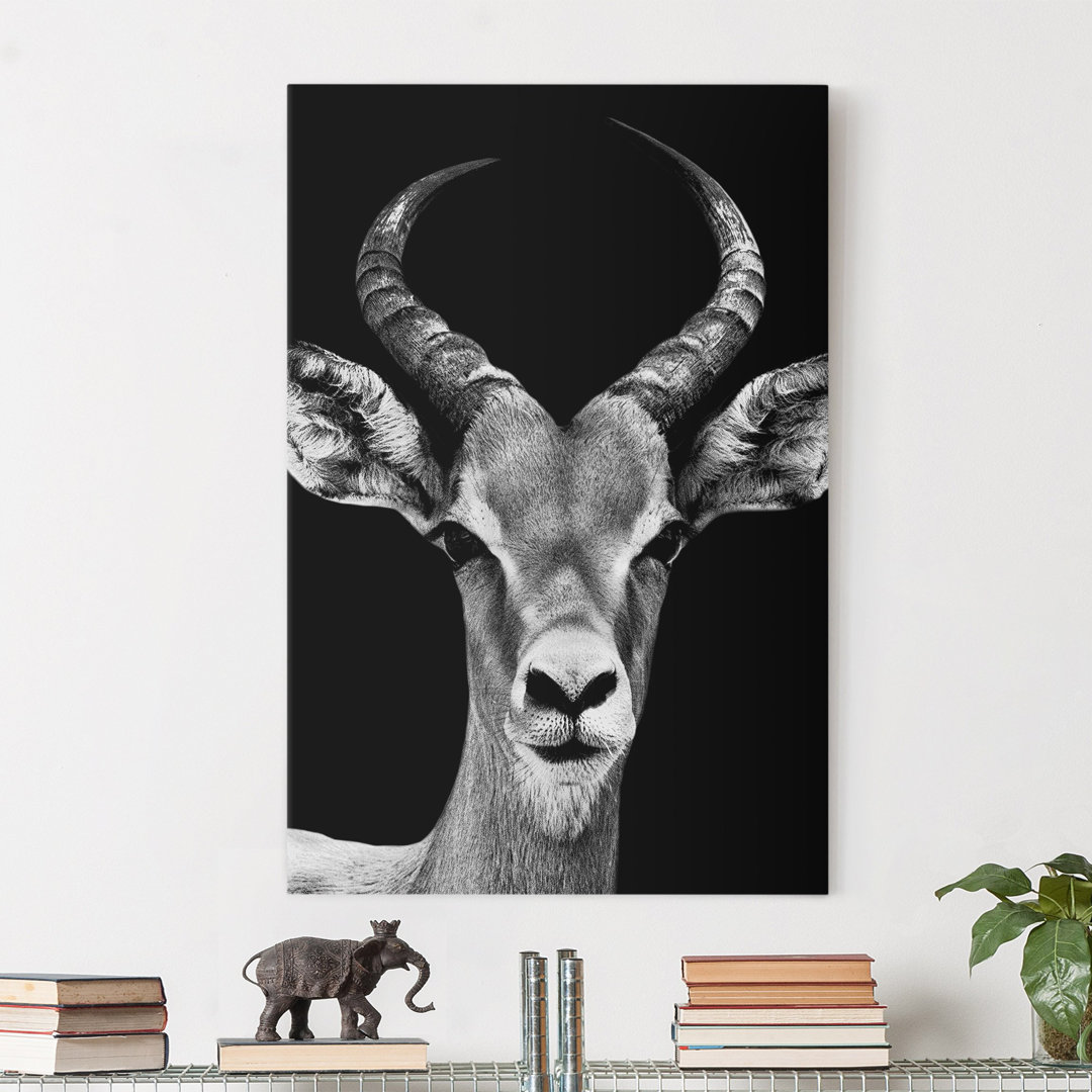 Leinwandbild Impala Antelope