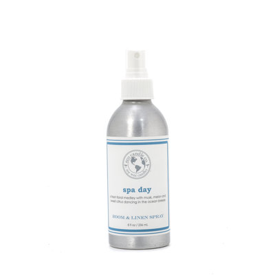 Pulvérisateur de chambre spa