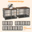 Caisse pour animal Chamiya-1639810864-1615796641