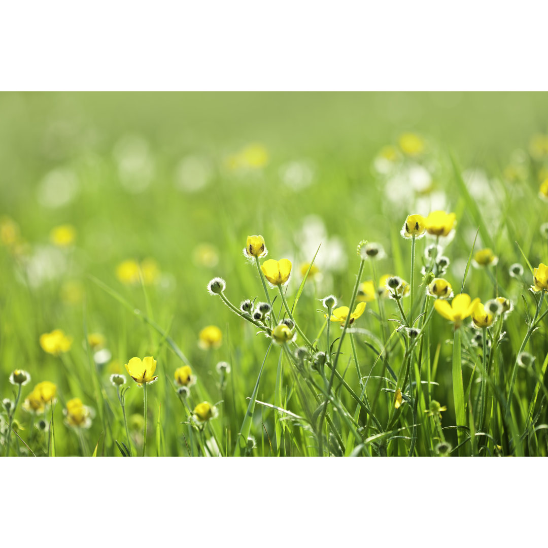 Leinwandbild mit Blumen in Frühlingsfarben