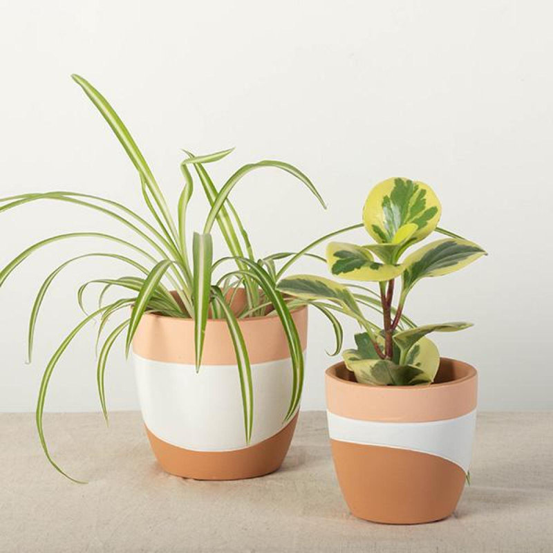 Ensemble de 2 jardinières de couleur orange, blanche et pêche