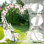 Charnisha 207cm W x 70cm D Metal Arbour in White