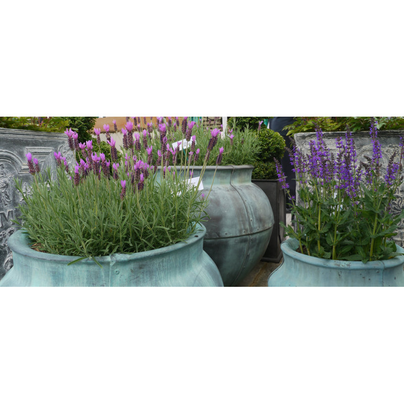 Braxton Fiberglass Planter, Extra Large