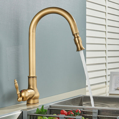 Rosdorf Park Caenas Pull Out Kitchen Faucet