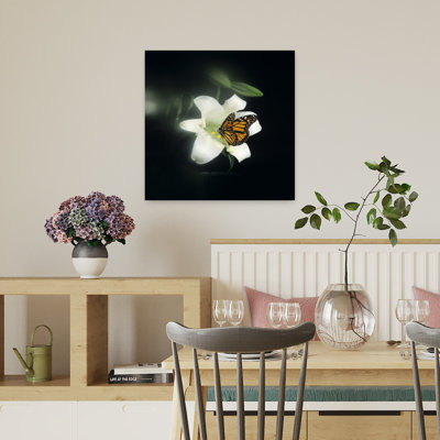 1980S Monarch Butterfly Danaus Plexippus Feeding On Lily Flower Classic Retro Vintage Butterfly Lily Nature Wildlife Wall Art