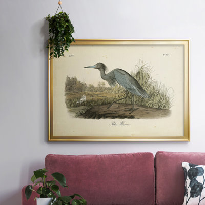 " Audubons Blue Heron "