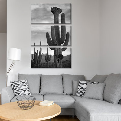 « saguaros, saguaro national », reproduction de photo sur toile tendue
