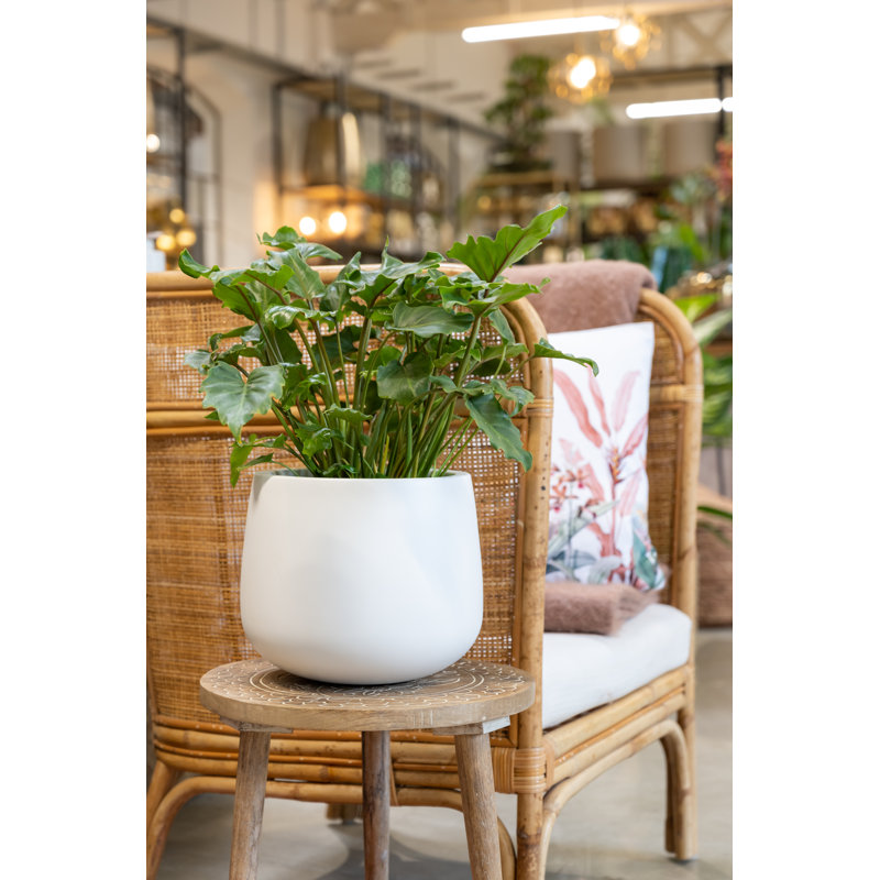 Outdoor Glossy White Fiberstone Pot